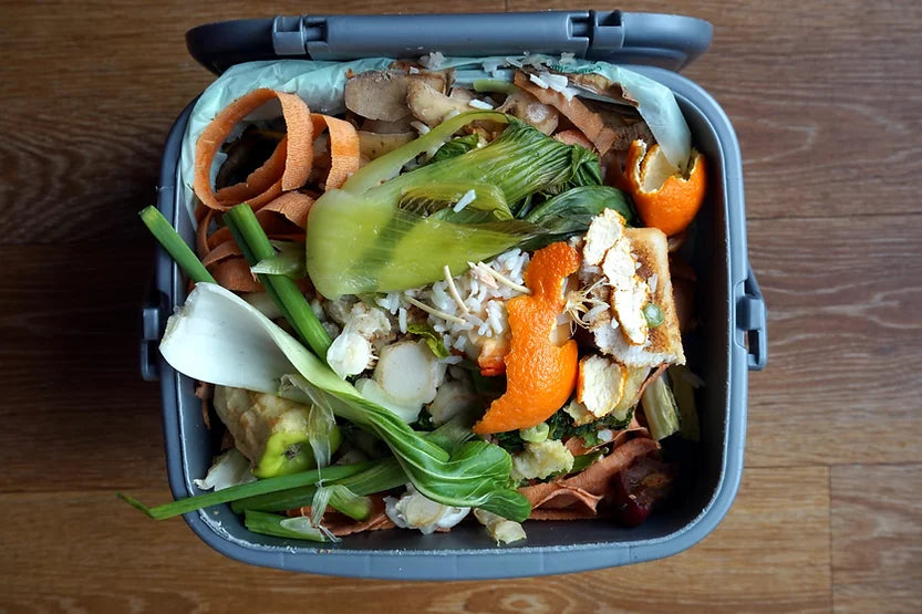 Are you Sick Of Throwing Out Food?