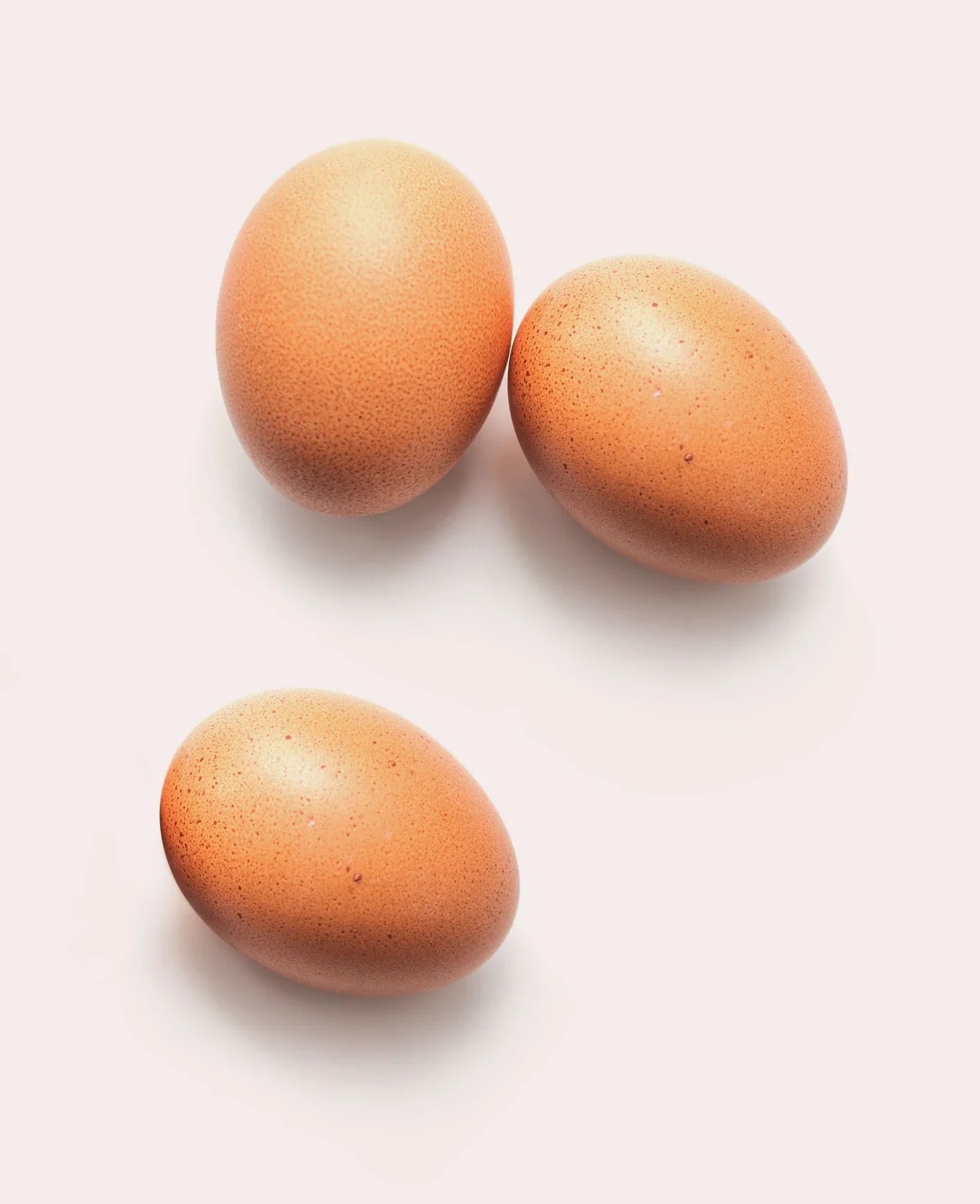 Introducing Eggs