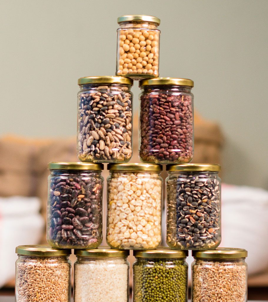 How To Introduce and Use Legumes