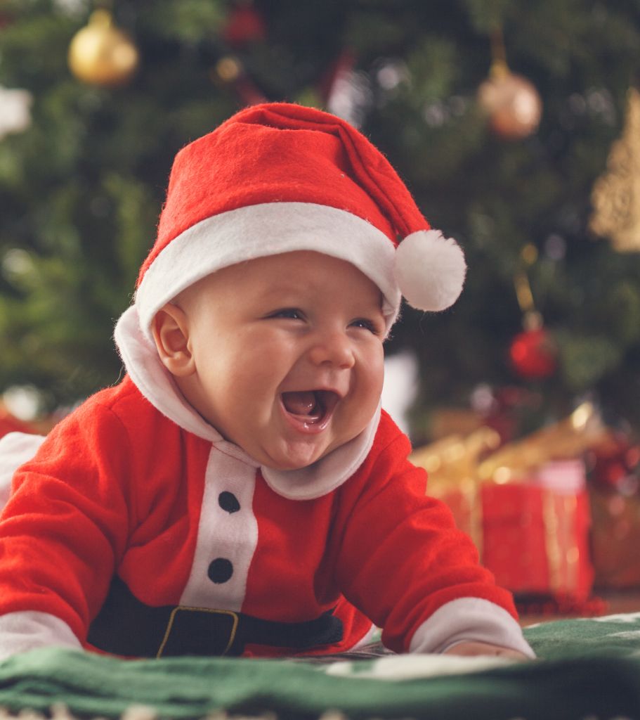 How to build a Christmas lunch for bub!