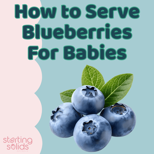 How To Serve Blueberries For Babies - Starting Solids