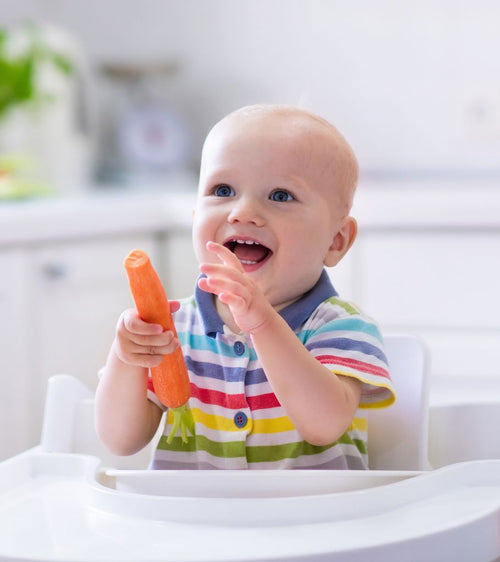 Resistive Food Teethers-Why We Love Them! - Starting Solids
