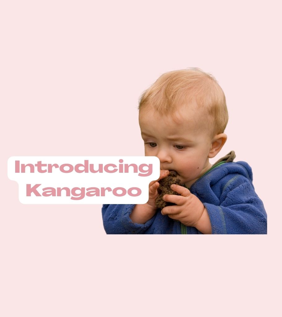 Introducing Kangaroo- an often overlooked iron rich food for babies.