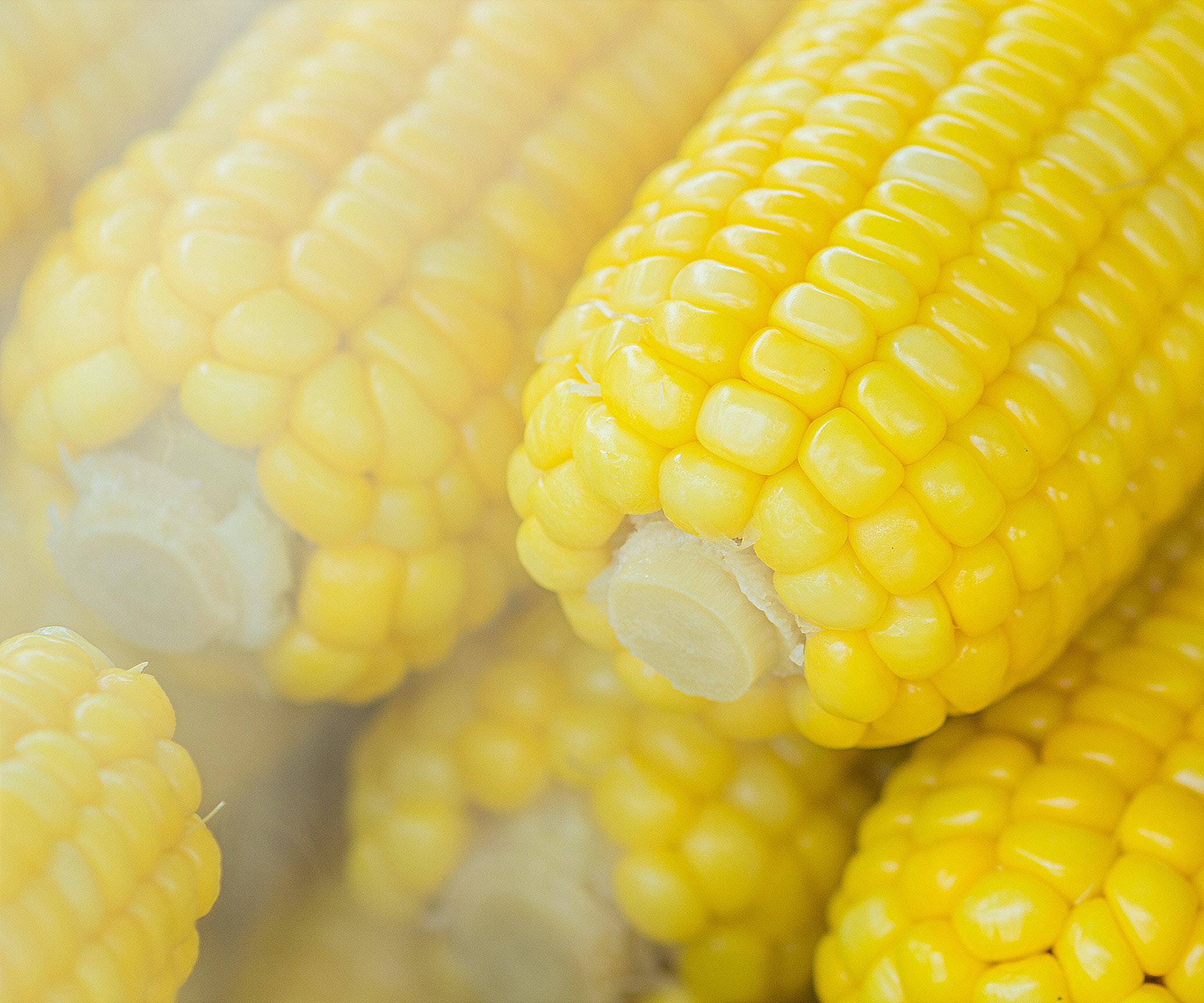 How To Introduce and Serve Corn