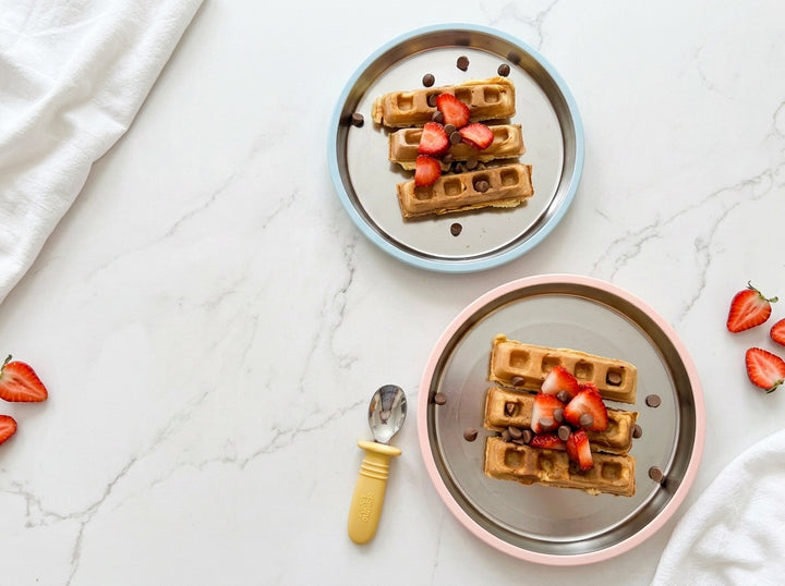 Biggie Stainless Steel Suction Plate Set
