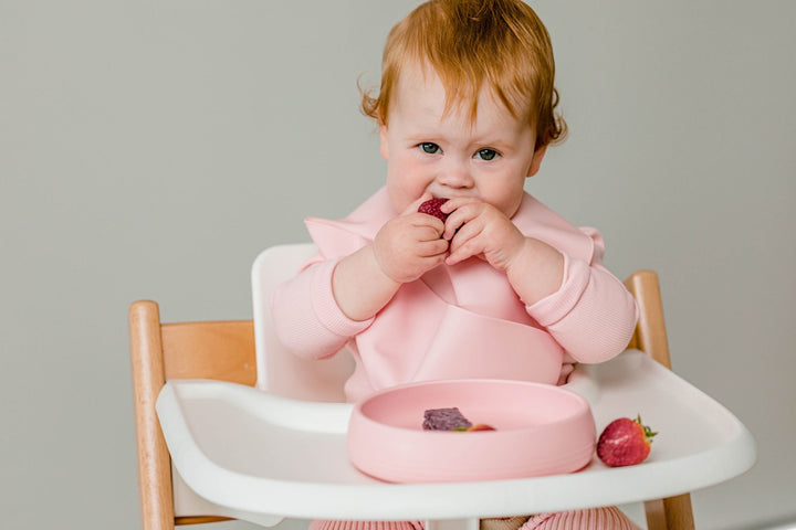Silly Bib - SIlicone Feeding Bib - Starting Solids