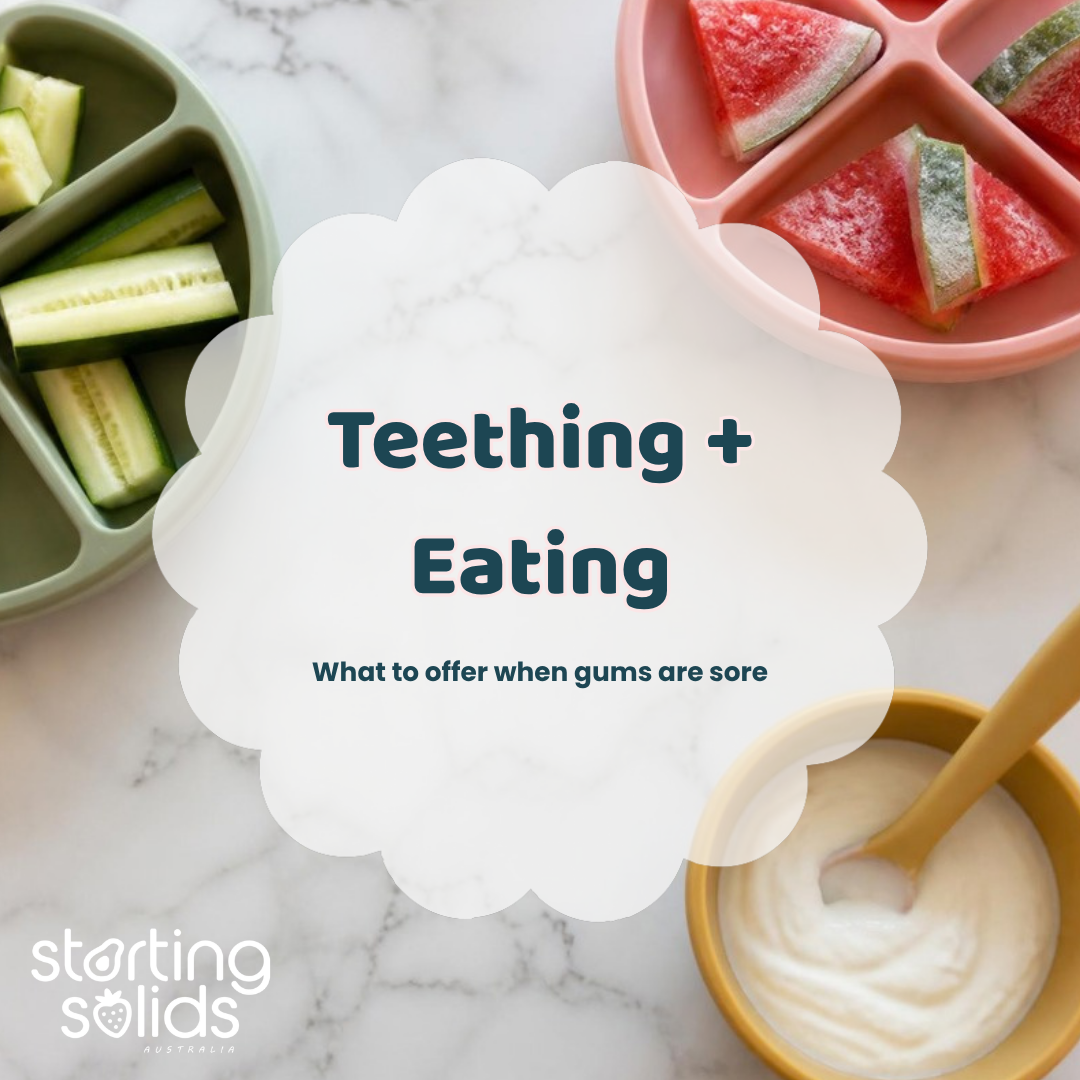 Teething + Eating: What To Offer - Starting Solids
