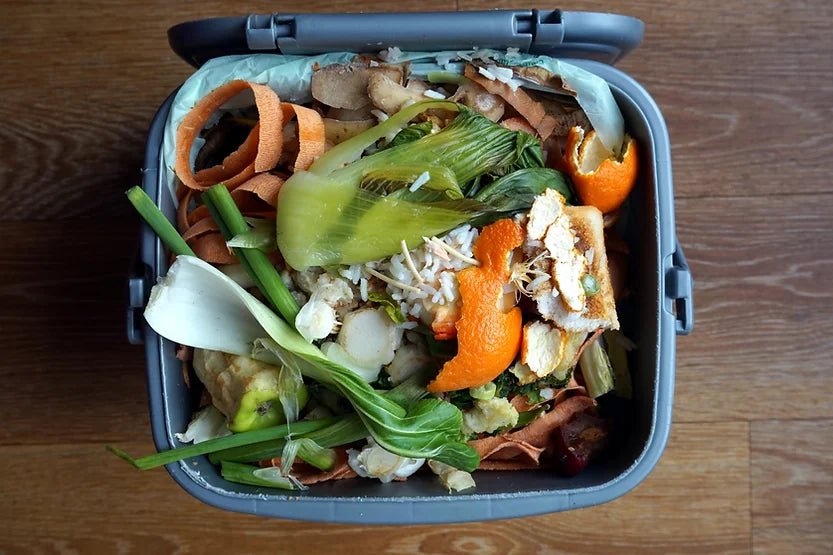 10 Ways to Reduce Food Waste when Starting Solids - Starting Solids