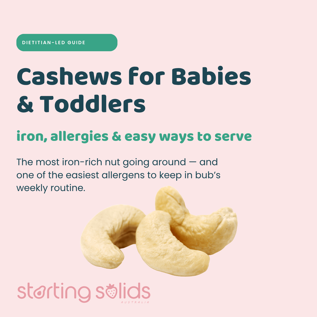 Cashews for Babies & Toddlers: Why We Would Serve This Nut Every Week - Starting Solids