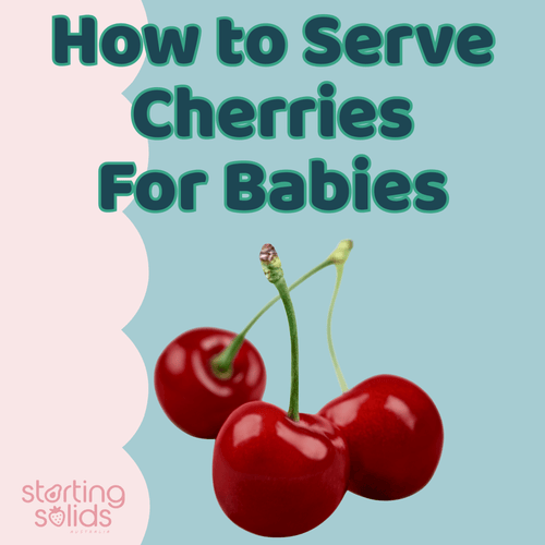 How To Introduce and Serve Cherries - Starting Solids