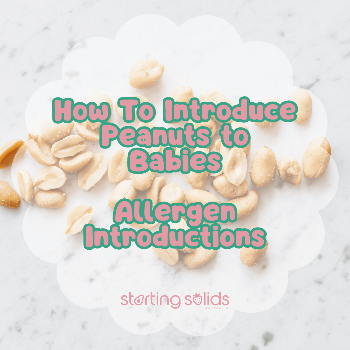 How To Introduce Peanuts When Starting Solids - Starting Solids