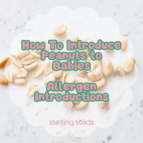 How To Introduce Peanuts When Starting Solids - Starting Solids