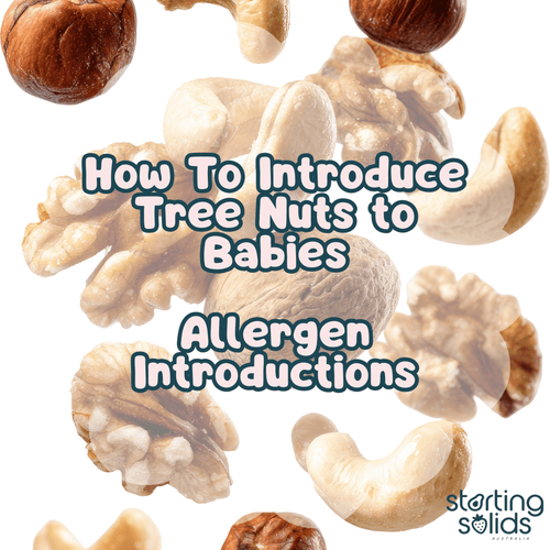 How To Introduce and Serve Tree Nuts For Babies - Starting Solids