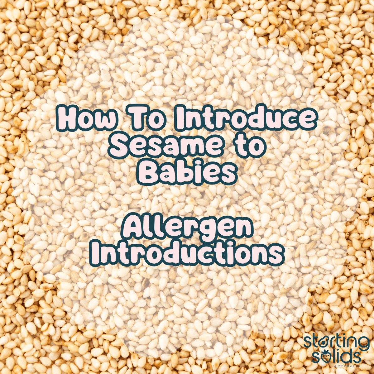 How To Introduce Sesame - Starting Solids