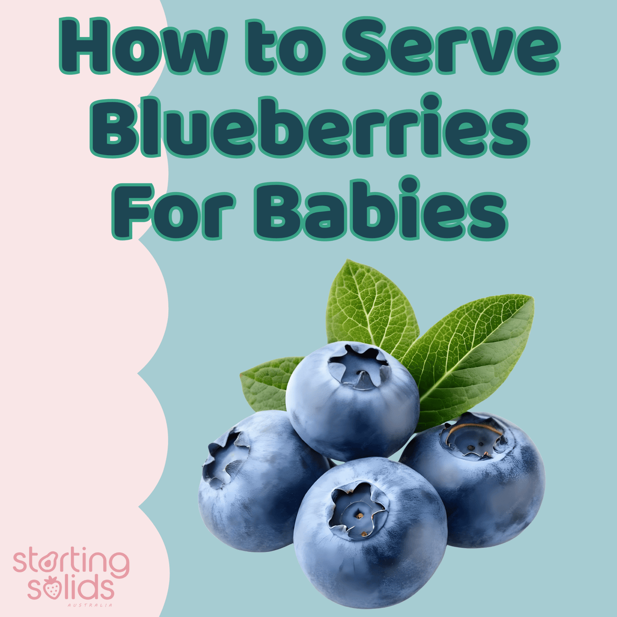 How To Serve Blueberries For Babies - Starting Solids