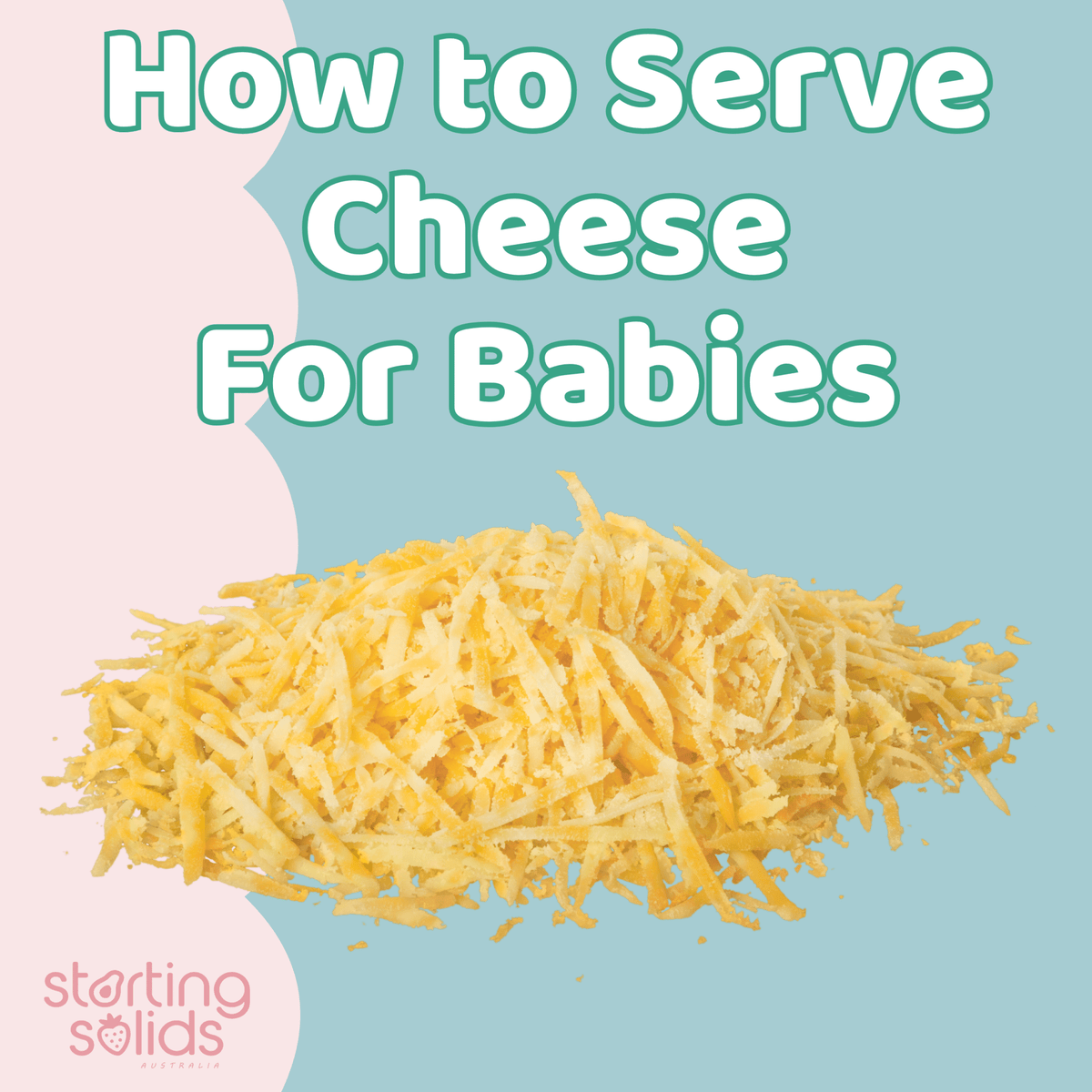 How to serve Cheese For Babies - Starting Solids