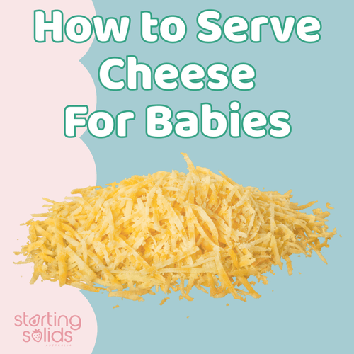 How to serve Cheese For Babies - Starting Solids