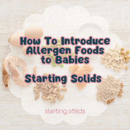 Introducing Allergen Foods Safely: Baby Allergen Introduction Guide - Starting Solids