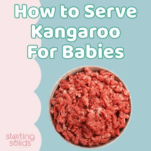 Introducing Kangaroo- an often overlooked iron rich food for babies. - Starting Solids