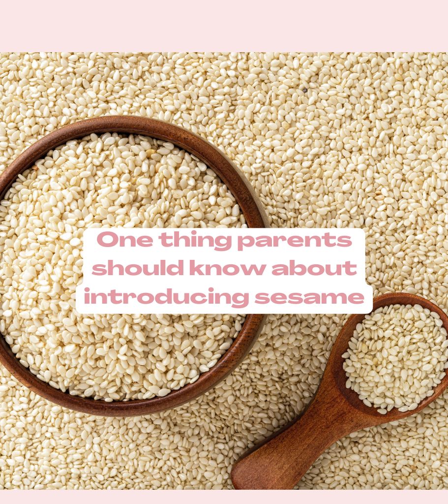 Introducing Sesame-one thing every parent should know! - Starting Solids