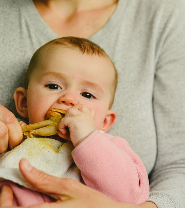 Iron Rich Foods For Babies!