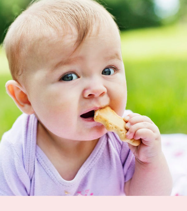 Do we recommended biscuit, crackers, rusks and rice cakes for babies?