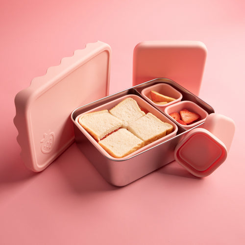 Stainless Steel Lunchboxes