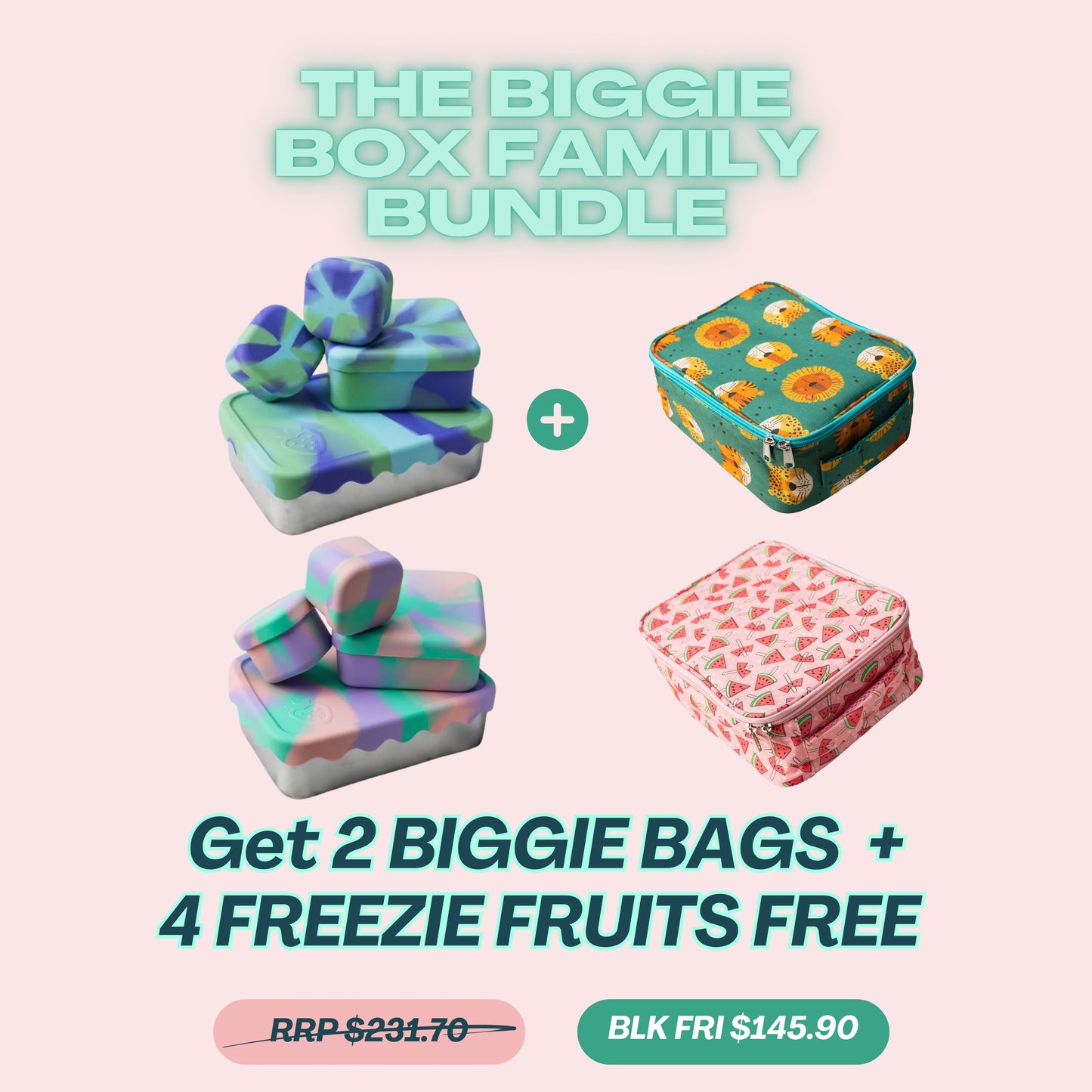 Biggie Box Family Bundle