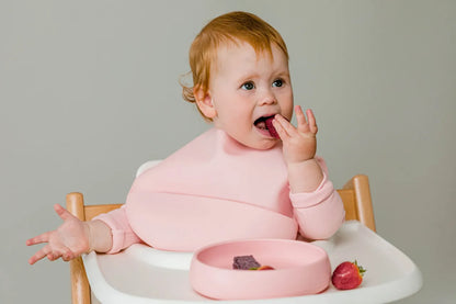 Silly Bib