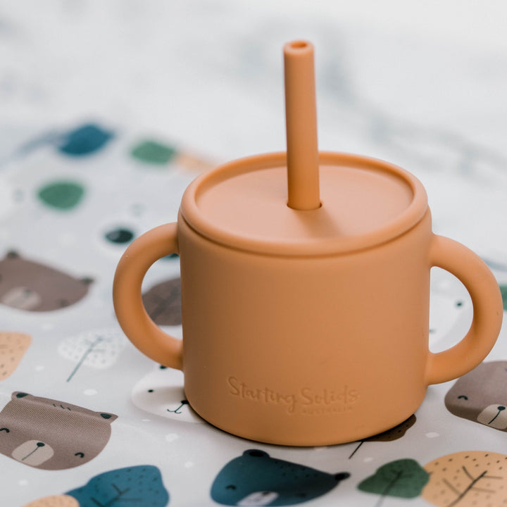 Babies First Straw Cup - Starting Solids