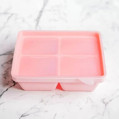 Freezie Trays - Starting Solids