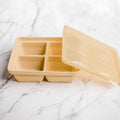 Freezie Trays - Starting Solids