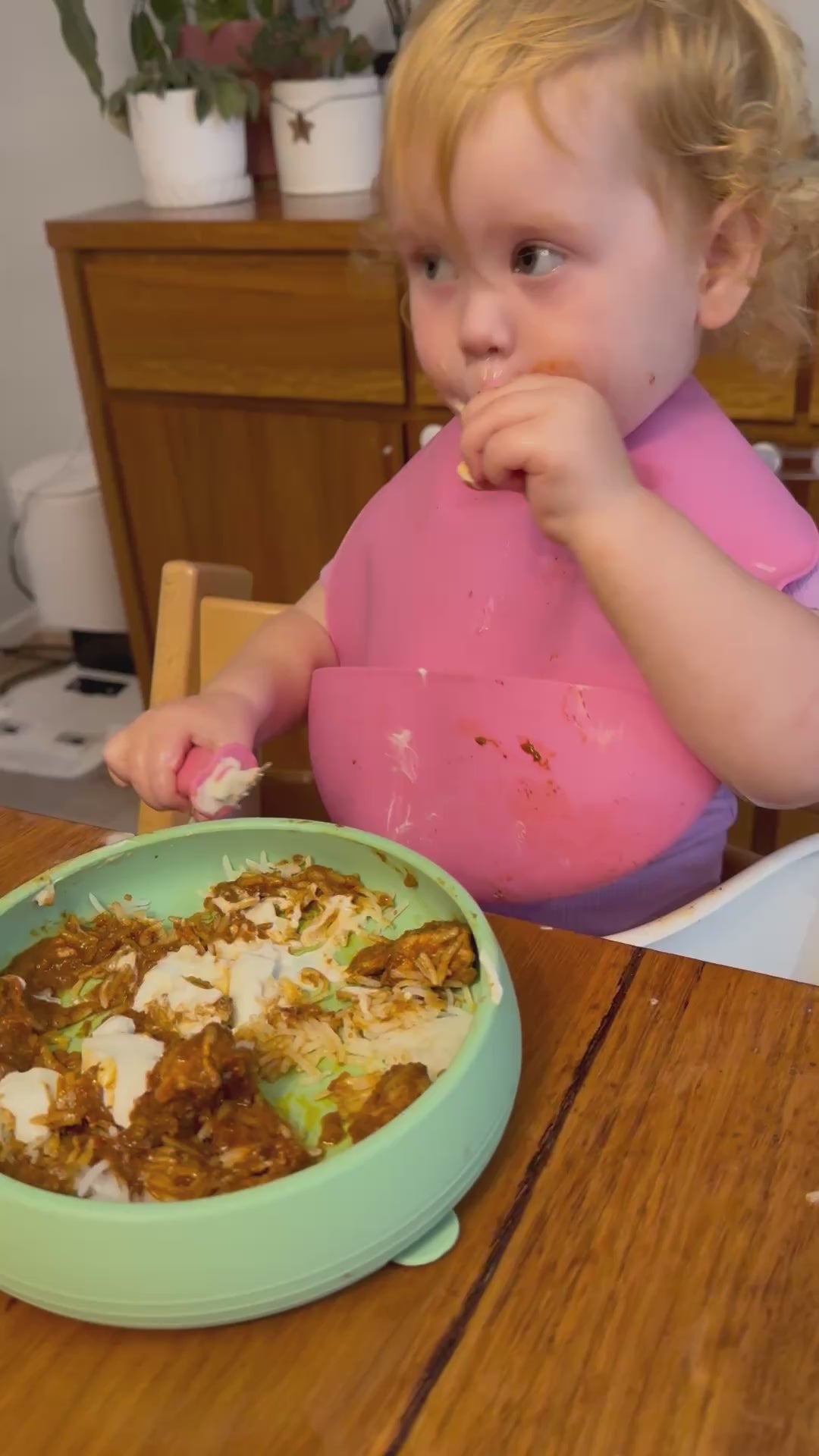 Silly Bib - SIlicone Feeding Bib