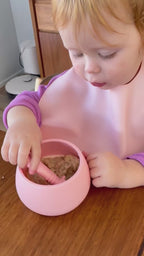 Silly Bib - SIlicone Feeding Bib