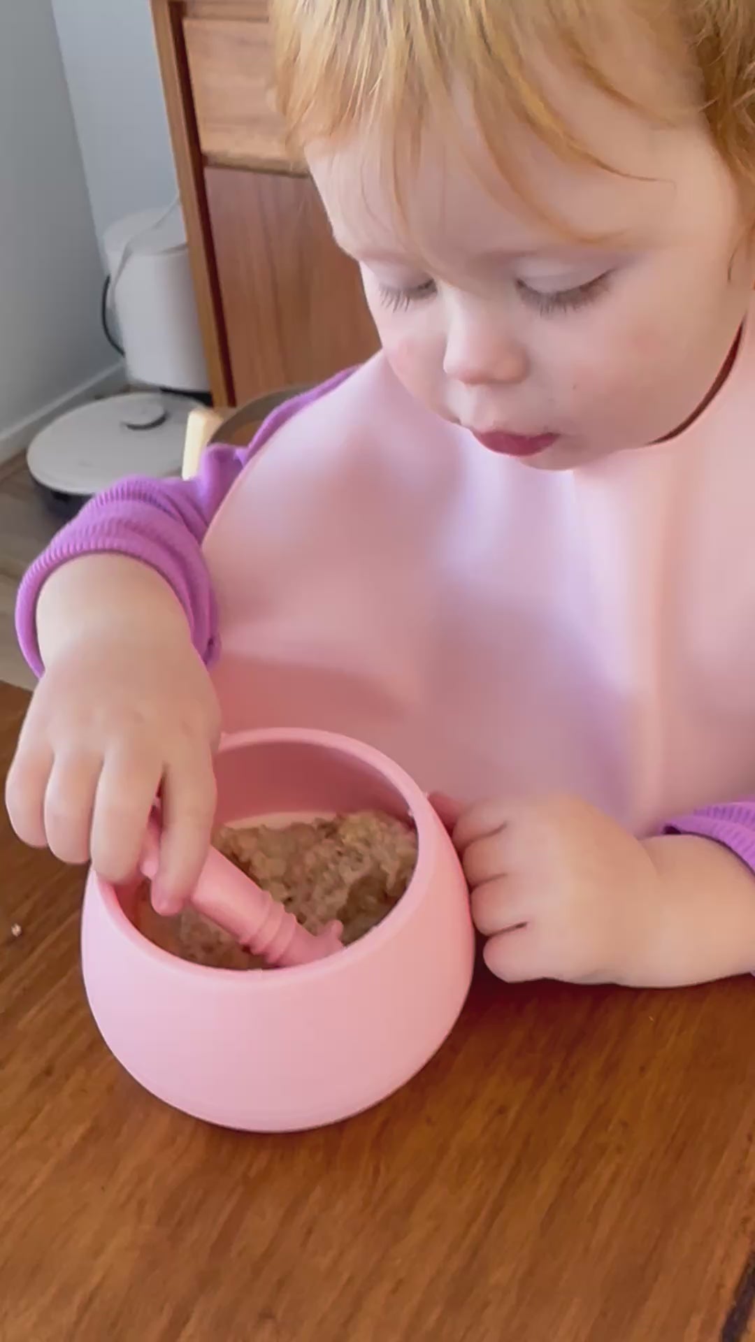 Silly Bib - SIlicone Feeding Bib