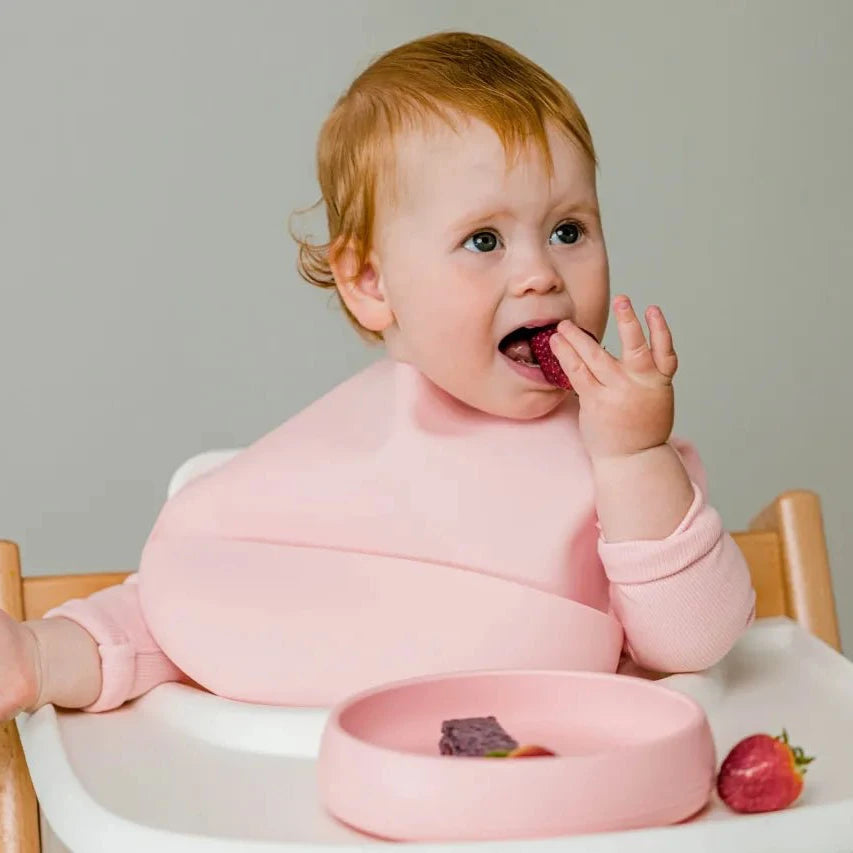 Silly Bib - SIlicone Feeding Bib