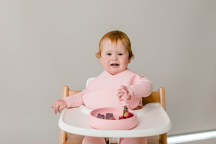 Silly Bib - SIlicone Feeding Bib - Starting Solids