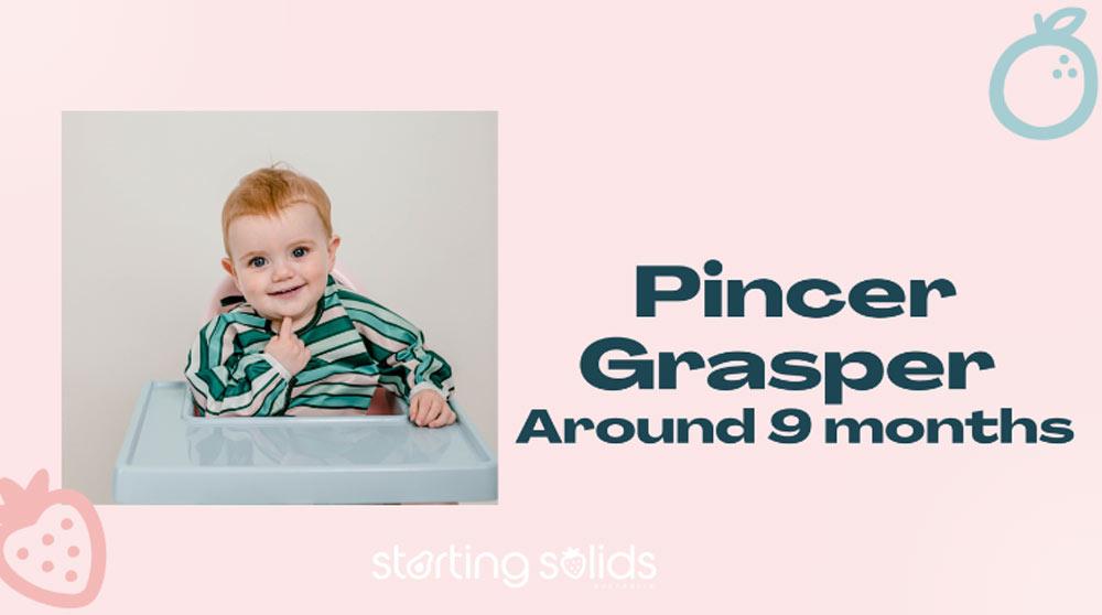 Pincer Grasping Around 9 Months Old graphic by Starting Solids Australia