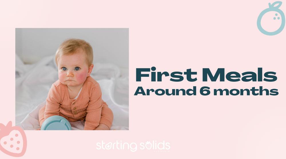 Baby's First Meals Around 6 Months graphic by Starting Solids Australia
