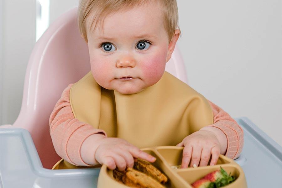 Baby in highchair with solid food in silicone plate wearing a catch-all bib ready for Starting Solids Consulations