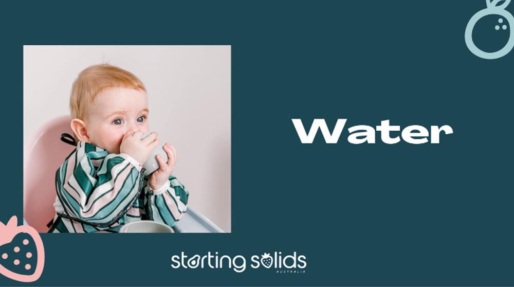 Water for Babies graphic by Starting Solids Australia