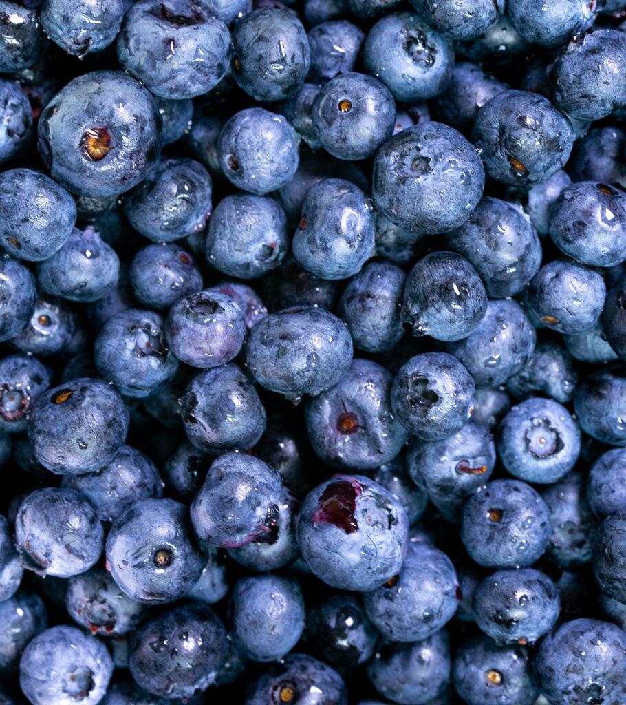 Serving Blueberries article by Starting Solids Australia