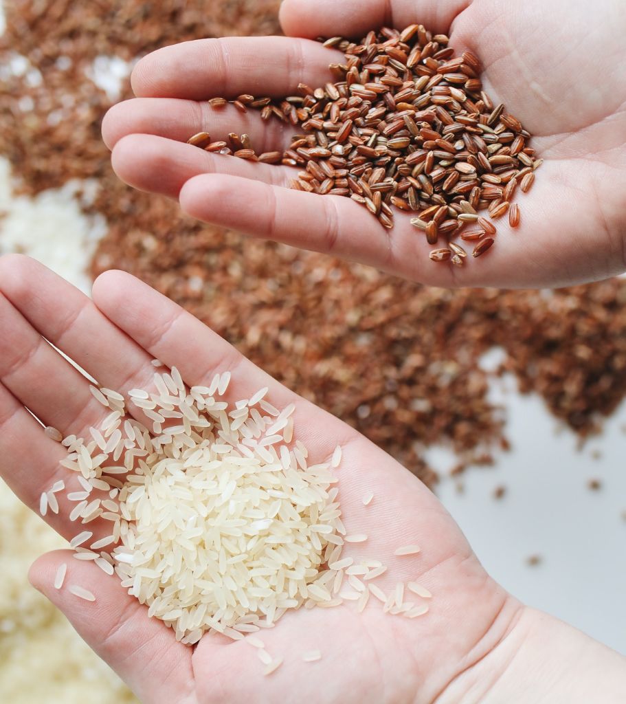 Two hands hold white and brown rice - Starting Solids Australia resource article
