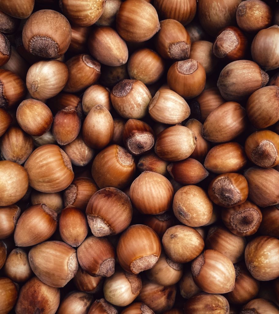 Hazelnuts - How To Introduce and Serve Tree Nuts resource article by Starting Solids Australia